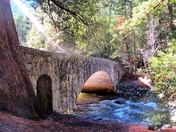 Bridge at Yosemite National Park