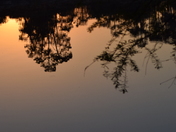 Warm Reflections (vertical image)