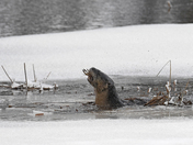 A Taste of Early Spring