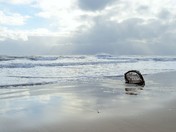 Lobster fishing trap washed ashore