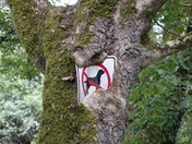 Respect to mother nature