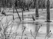 Frozen pond