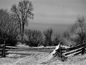  Black,White, Grey, and Repeat...