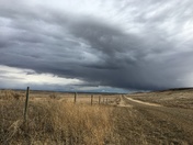 First Thunderstorm of the Season!