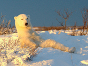 ' Do You Mind... I'm Sunbathing.... '