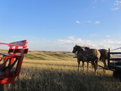 Wagon Ride along the Prairie Rim 