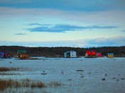 House Boats in Summer 