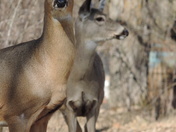 Watching the photographer