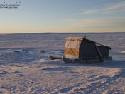 Komatik in Cambridge Bay
