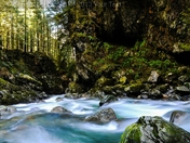 Lynn Creek, North Vancouver. 