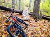 A Ride in Fall Colors