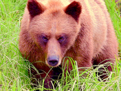 That's Close Enough ...