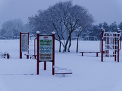 Nobody is playing today