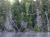 Kingscote Lake Algonquin Provincial Park