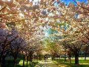 Good Morning Bike Ride 