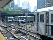 All lined up and ready to go!