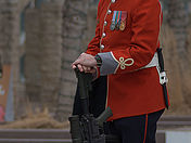 Vimy Honur guard edmonton