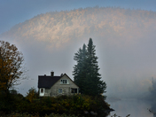 A little place in the woods 