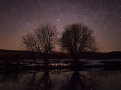 Starlight reflections