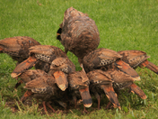 Baby Bath / feeding togather