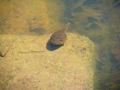 From Beginning to end  