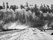  Working the Feedlane