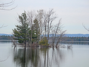 Just to much water ( On the Ottawa River)