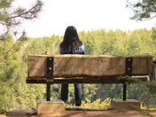 Over looking the Park 