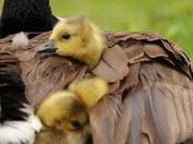 Shelter from the Sorm