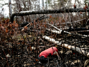 Th extinguished fire