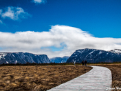 The Walk towards Gros Morne