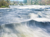 The Rush of Burleigh Falls