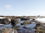 Arctic spring landscape