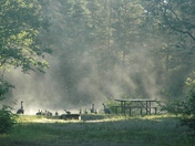 Bonnechere Provincial Park