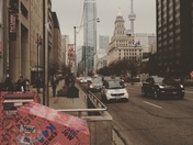 So much Toronto in one Photo