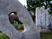 Screaming Heads - Vision Beyond