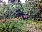 Your Guess is as Good as MIne