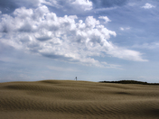 Saskatchewan's Great Sandhills