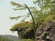 Acray lake in algonquin