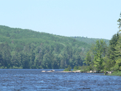 Acray lake in algonquin