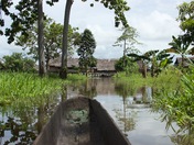 PNG Dugout Canoe