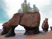 Hopewell rocks