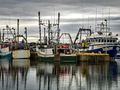 Bonavista Harbour