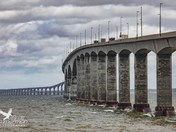 Eight Miles of Awesome