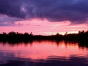 The True North strong & free