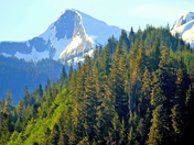 The Grandeur of The Khutzeymateen