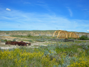 Bridge over Red Deer RIver