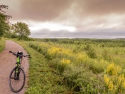 Bike on a field