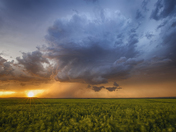 "Alberta - Land of the living... wait, thats not right"