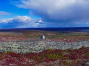 As far as the eye can see....